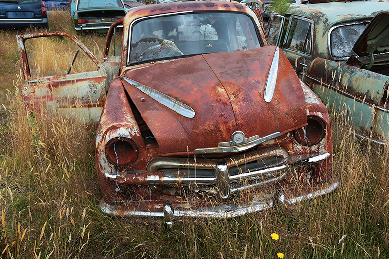 Smash Palace : Car Wreckers : Horopito : New Zealand : Richard Moore : Journalist : Photographer :